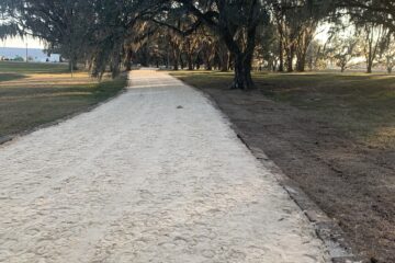 Dirt pathway